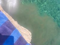 Onečišćenje mora fekalijama na plaži u Stonu: Ne preporučuje se kupanje do daljnjega!