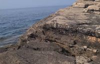 PLAŽA ZA SVE Nakon uklanjanja nekadašnje oznake FKK, na Lokrumu dopušteni i nudizam i kupaći kostimi. Legaz: "Ovo nije po Zakonu"