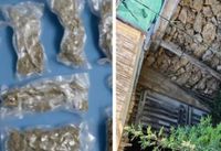 Policijska akcija na Hvaru: "Na području Jelse i Dola zaplijenjena je veća količina droge, oružja i eksplozivnih sredstava"