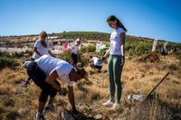 Gotovo 400 volontera pošumljava požarište kod Trogira: "Sadit će i veleposlanik Južne Koreje"