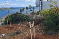 Dugi otok ulaže u zeleniju budućnost: "Zasađeno petnaestak stabala"