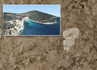 MJESTO GDJE SU PALI DINOSAURI Otok Brač dobio spomenik prirode iz doba velikog udara asteroida!