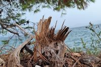 ZADAR/KOŽINO Vijećnik i poznati liječnik oštro po gradskoj vlasti: "Tereni iznad obale koju uništavate pripadaju HDZ - ovki protiv koje je podignuta optužnica za izvlačenje novca iz proračuna"