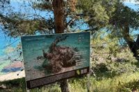 Mladi Zadrani očistili Ošljak i postavili 37 "morskih fotografija" pa zaslužili lijepo priznanje!