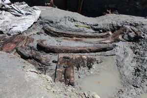 NEVJEROJATNO OTKRIĆE NA RABU Na gradilištu hotela pronađeni drveni brodovi iz 14. stoljeća!