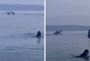 VIDEO Divljanje gliserom na plaži u Podstrani: "Najgore je što nitko osim mog supruga nije reagirao!"