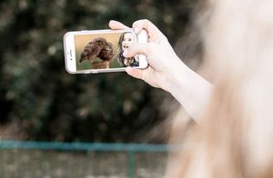 Udruga Biom upozorava: "Divlje ptice nisu za fotografiranje s turistima, prijavite kršenje zakona!"