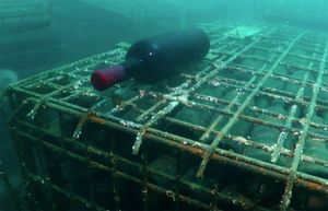 Vrhunska vina iz dubina Ikarskog zaljeva