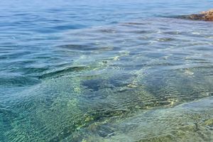 Plaža kod Pelješkog mosta onečišćena bakterijom Escherichia coli