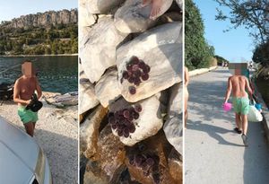 Talijani na splitskoj plaži vadili i trpali ježince u crne vrećice: "Kada sam pozvao policiju, pobjegli su"