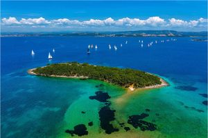 Otok Artina