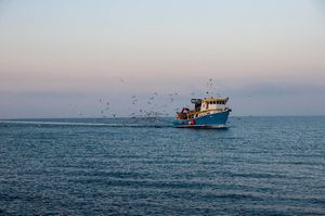 Na snazi je privremena obustava ribolova za koće kroz rujan-listopad