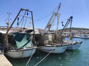 Produljen rok za predaju zahtjeva za isplatu - Mjera zamjena motora