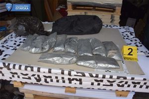 Istarska policija razotkrila  zločinačko udruženje koje je krijumčarilo heroin