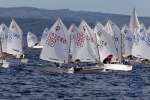 Borba za prvaka u jedrenju, klase Optimist