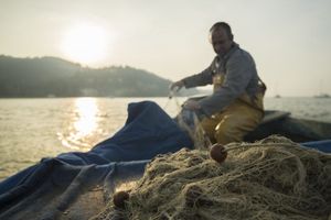 WWF odgovorio Baranoviću: "Mi direktno pomažemo ribarima!"