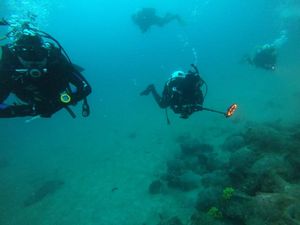 Hrvatski pomorski muzej poziva na radionicu upravljanja ronilačkom destinacijom