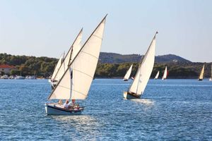 FOTO Šušur i 72 broda na jubilarnoj regati Latinsko idro