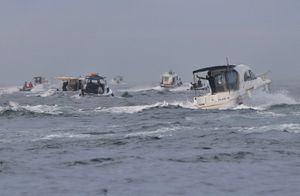 CRNILO KUP Samo s jednom lignjom pobijedili u natjecanju u lignjolovu!