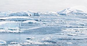 Nova studija otkrila da se Arktik zakiseljuje do četiri puta brže od drugih oceana