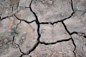 Ovo ljeto bilo je najtoplije u posljednjih 140 godina - Doseglo je kritičnu granicu klimatskih promjena