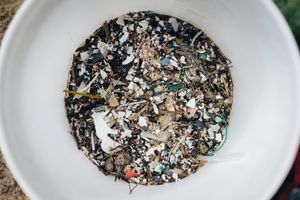 Borba protiv onečišćenja plastikom krije se u slini voštanih crva