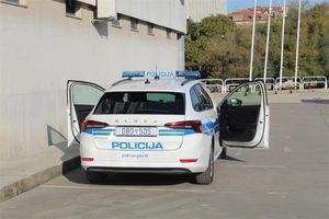 U Istri ukraden auto s mesom divljači