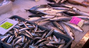 RIBA SE JEDE SVE MANJE! Jedan od razloga je njena cijena