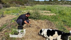 Iz Berlina stigao na Vis na par mjeseci, pa ostao sedam godina i odabrao poljoprivredu