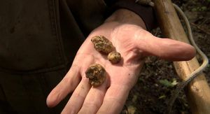 Tartuf - Bijelog nema i košta kao zlato, a ni crni nije puno jeftiniji