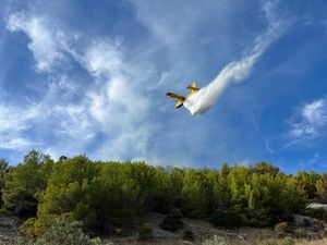 Gore maslinici i borova šuma na Hvaru!