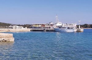 Primorsko-goranski dožupan: "Za propast projekta Mrtvaška kriv je kartel oko brodara s Ilovika!"