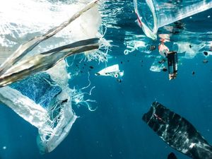 IUCN: Svakog dana u Sredozemlju završi 500 brodskih kontejnera plastike!