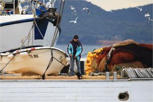 EK usvojila program za Hrvatsku u okviru Europskog fonda za pomorstvo, ribarstvo i akvakulturu - Ulagat će se i u održivo upravljanje u Jadranu
