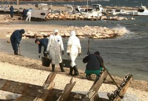 Vatrogasci iz cijele Istre po jakoj su buri četkama čistili stijene te uklanjali onečišćeni šljunak i raslinje s ližnjanske obale