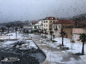 ZABIJELILA SE JELSA: "Ovo je tako rijedak trenutak da ga treba zabilježiti"