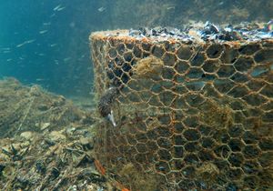 PTICI NIJE MJESTO NA UDICI Iskustva i preporuke za smanjenje slučajnog ulova morskih ptica