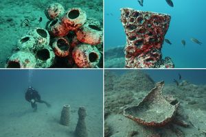 FOTO Grupa umjetnika u suradnji sa znanstvenicima u more postavili keramička staništa za podmorje