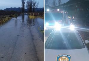 DRAMA KOD VRGORCA Žena s automobilom upala u Jezero - vozilo potonulo, nju našli na stablu