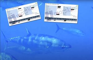 Ministrica Vučković pokrenula postupak protiv ribarskog inspektora jer sumnja da je Morskom HR dostavio inkriminirajuće dokumente