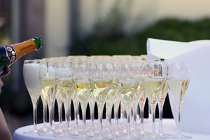 Međunarodni festival pjenušca - Ova vina, uz Zvjezdarnicu motiv su za dolazak u Višnjan
