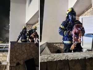Makarski vatrogasci iz kuće u plamenu izvukli dvije osobe i tri psa!