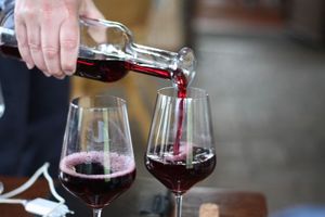 Petnaesti dani Otvorenih peljeških podruma privukli tisuće posjetitelja iz Hrvatske ali i okolice