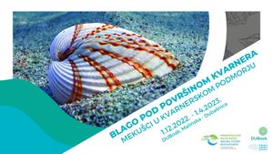 Izložba 'Blago pod površinom Kvarnera - mekušci u kvarnerskom podmorju' u Malinskoj