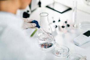 Prvo istraživanje u Hrvatskoj o učinku mikro i nanoplastike na zdravlje