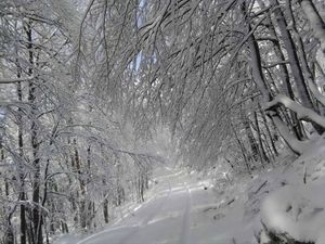 U NP Sjeverni Velebit samo na vlastitu odgovornost!