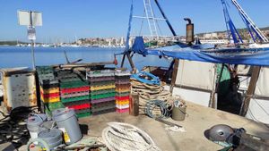 Odbor za ribarstvo treba status kakav imaju ribari HOK-a i HGK