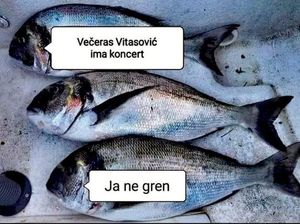 Vitasović se šali na svoj račun: "Večeras je koncert... Ja ne gren"
