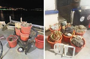 Projekt uključivanja ribara u čišćenje morskog dna od nagomilanog otpada, najviše plastike