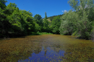 I samo nošenje olovne sačme u močvarnim područjima postaje strogo kažnjivo